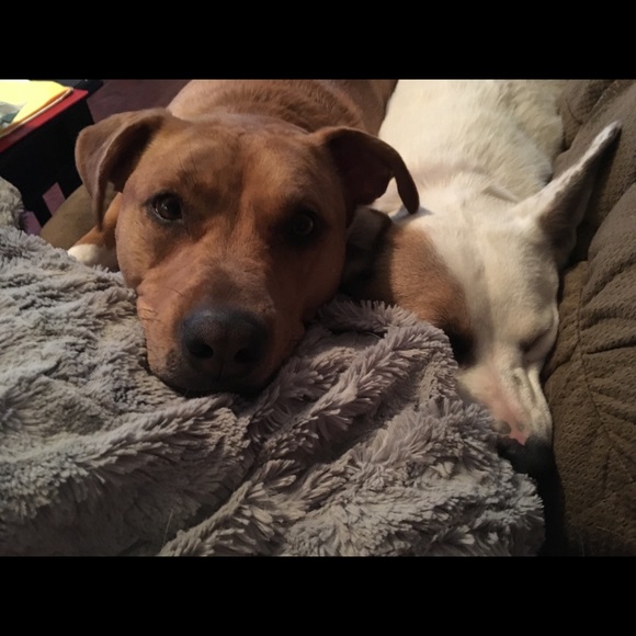 Meet your Posher, Anna - Picture 3 of 3